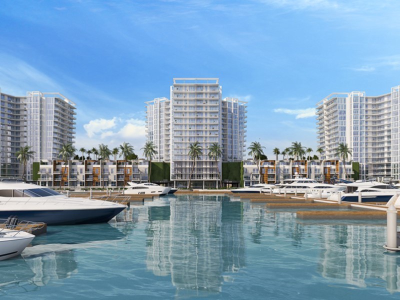 4900 Bridge St - Florida - Tampa - 33611